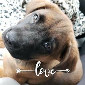 Meet your Posher, Jackie